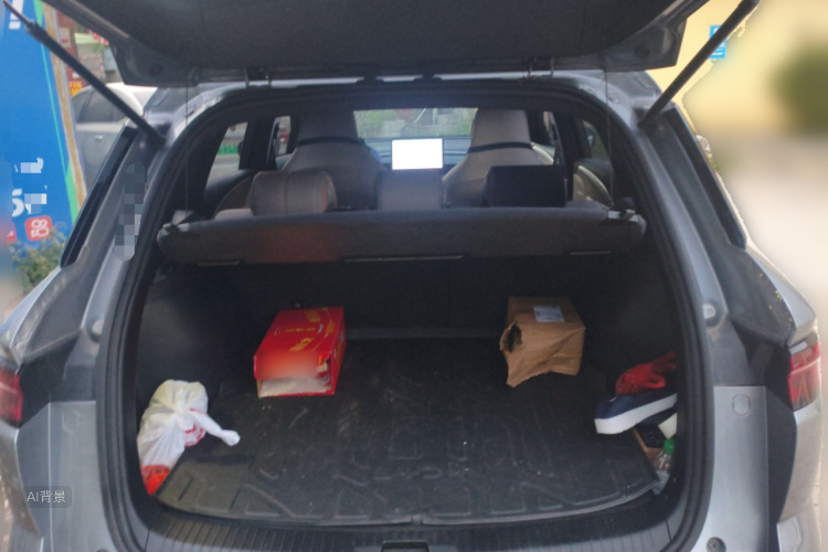 BYD Song Pro New Energy 2024 car image #21