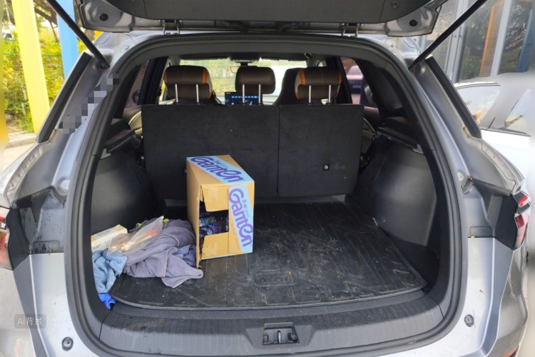 BYD Song Pro New Energy 2022 car image #21