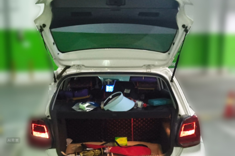 Polo 2016 car image #21