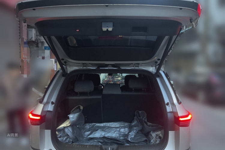 Toyota Bozhi 3X 2025 car image #21