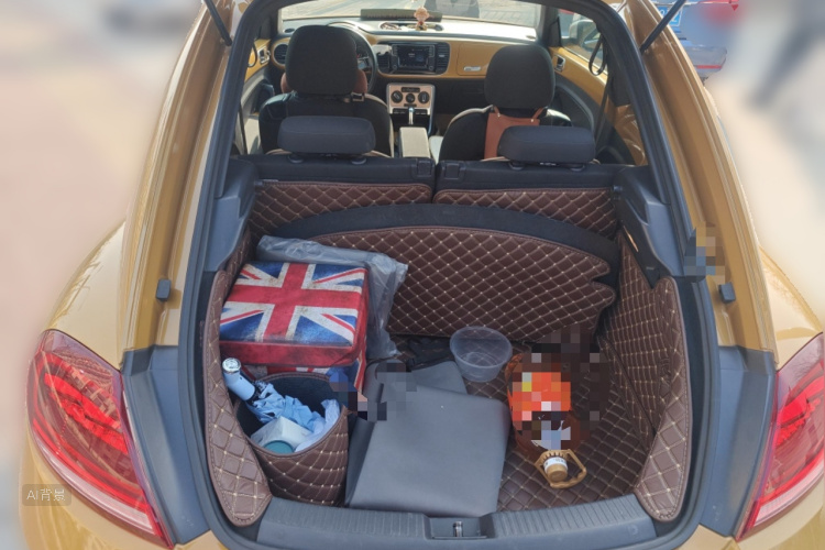 Volkswagen Beetle 2017 immagine di auto #21