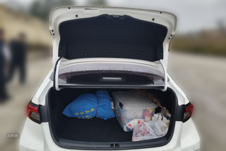 Toyota Allion 2022 immagine di auto #21