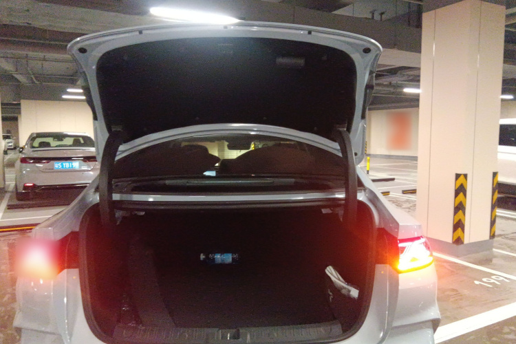 BYD Qin L 2024 car image #21