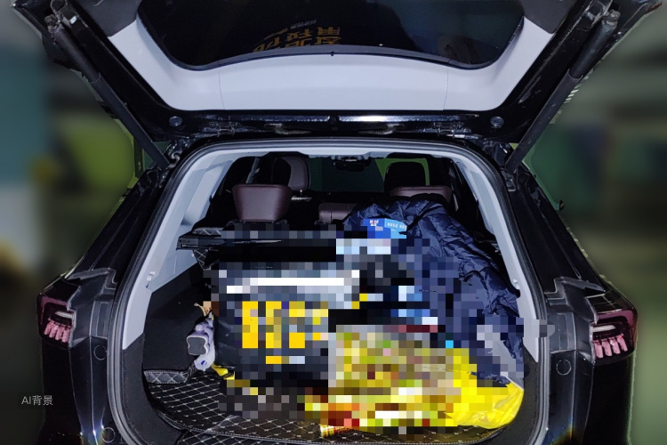 Chery Tiggo 8 PRO 2024 immagine di auto #21