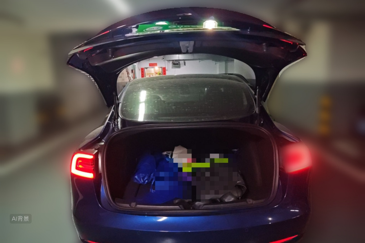 特斯拉 Model 3(进口) 2019 汽车图片 #21