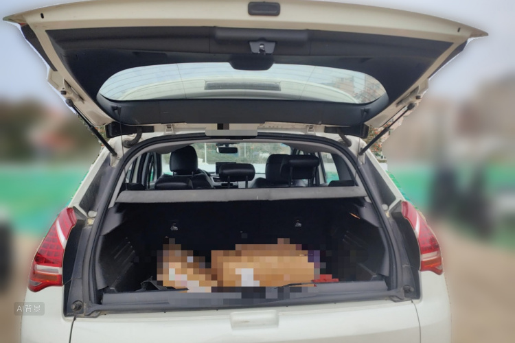 标致 标致3008 2015 汽车图片 #21