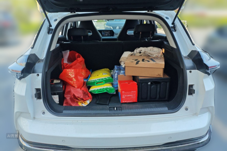 Neta U 2022 image de voiture #21