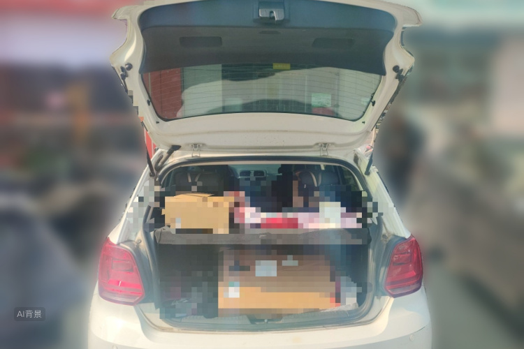 Polo 2016 immagine di auto #21