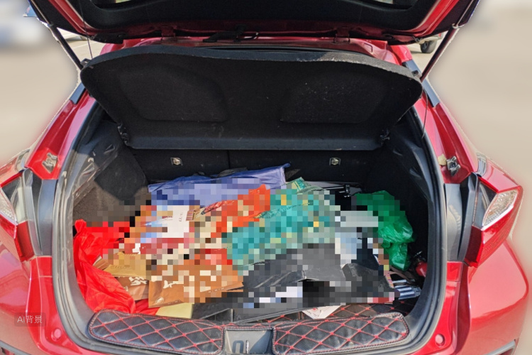 Toyota C-HR 2019 car image #21