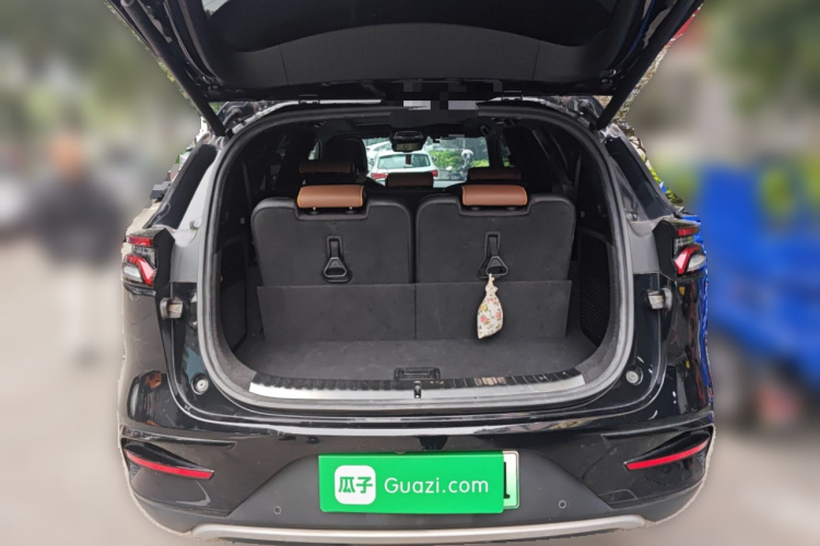 BYD Tang New Energy 2021 car image #21