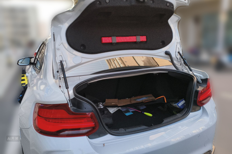 BMW M2 2019 изображение автомобиля #21