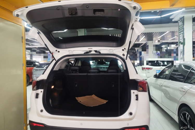 GAC Trumpchi GS4 2021 car image #21