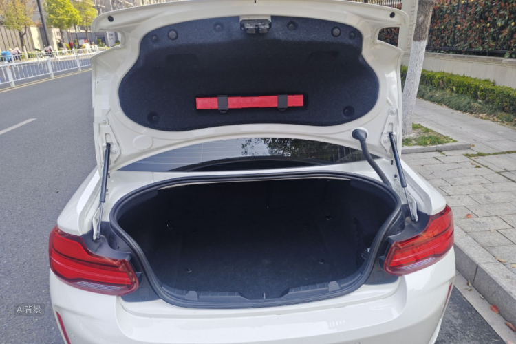 BMW M2 2018 изображение автомобиля #21