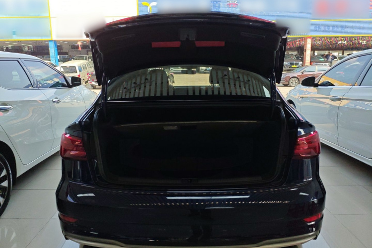 奥迪 奥迪S3 2019 汽车图片 #21