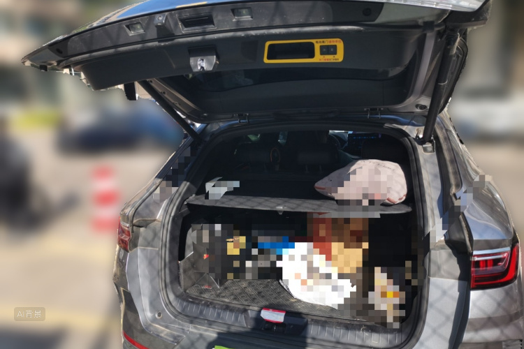 BYD Song Plus New Energy 2021 car image #21