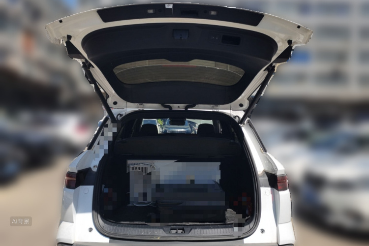 BYD Song Pro New Energy 2024 car image #21