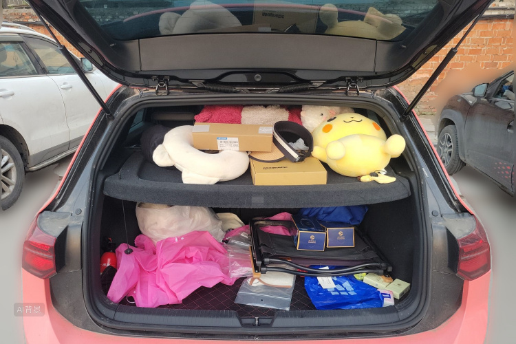 Volkswagen GolfGTI 2023 immagine di auto #21