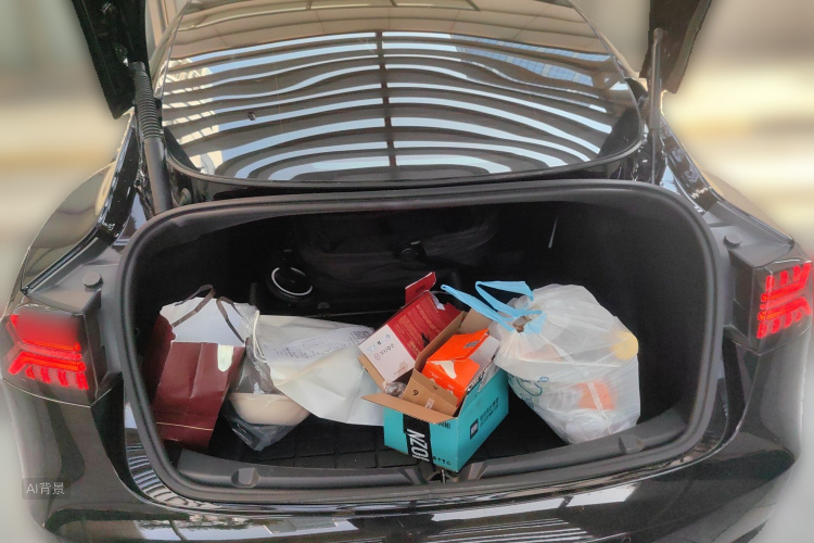 Tesla Model 3 2022 immagine di auto #21