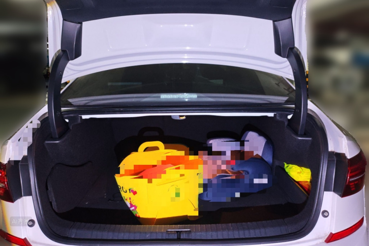 Volkswagen Passat New Energy 2021 car image #21