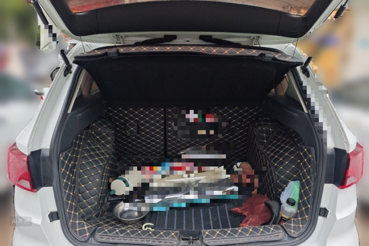 VS5 2019 car image #21
