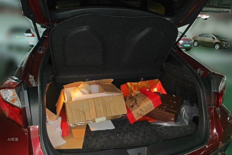 Toyota Izoa 2019 car image #21