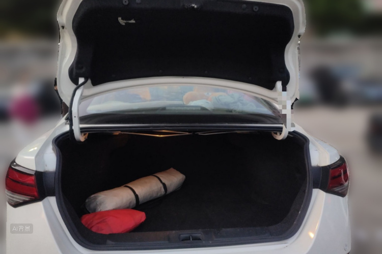 日产 轩逸 2020 汽车图片 #21