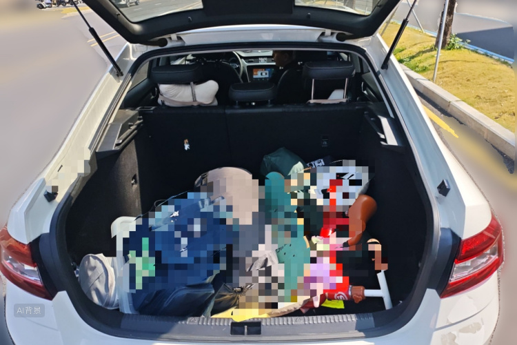 Skoda Octavia 2020 car image #21