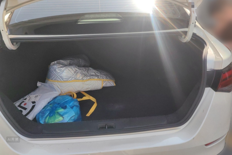 日产 轩逸 2021 汽车图片 #21