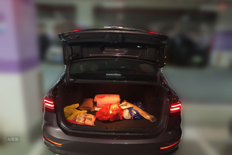 Volkswagen Lavida 2019 car image #21