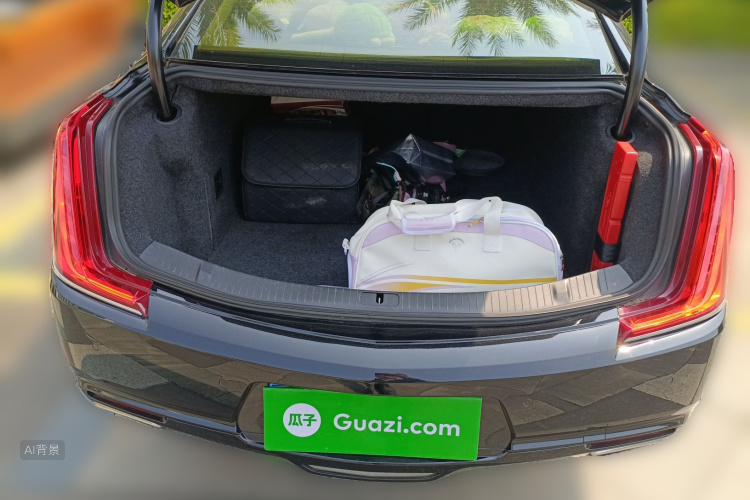 大众 凯迪拉克XTS 2019 汽车图片 #21