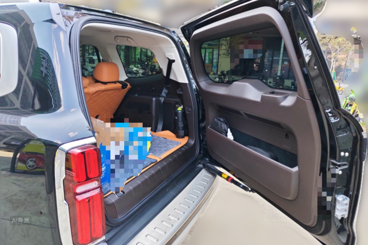 Tank 500 2023 immagine di auto #21