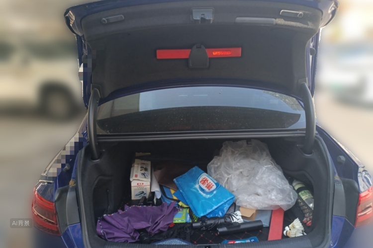 奥迪 奥迪A4L 2018 汽车图片 #21