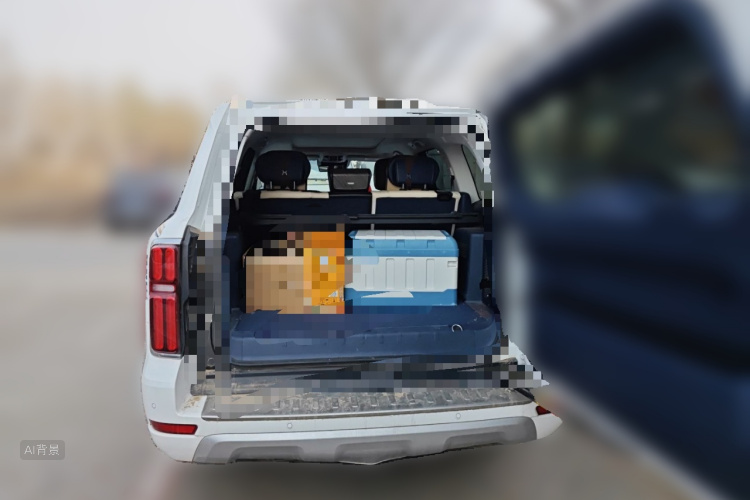 坦克 坦克500 2022 汽车图片 #21