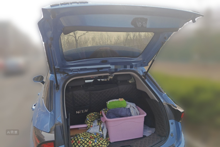 Neta V 2022 imagen de coche #21