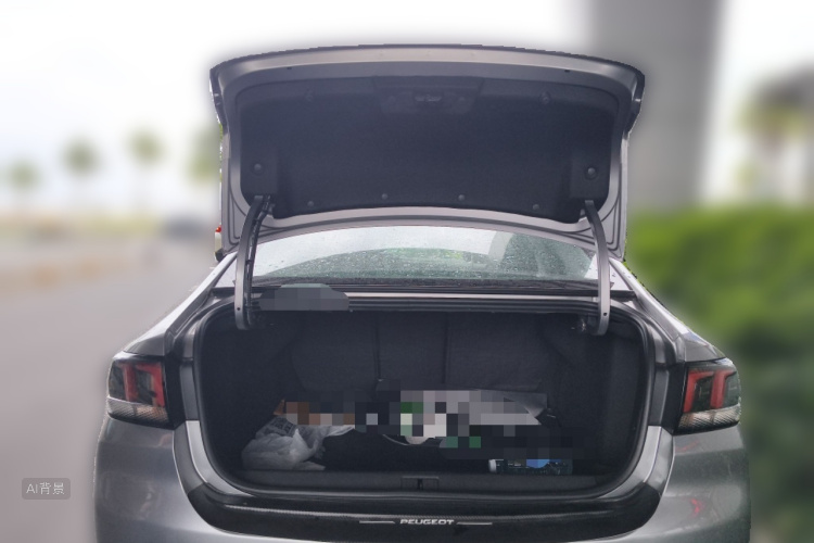 标致 标致308 2018 汽车图片 #21