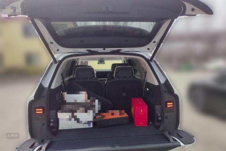 极氪 极氪9X 2025 汽车图片 #21