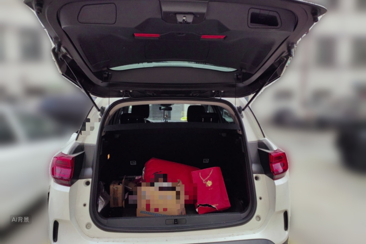 Citroen C5 AIRCROSS 2022 car image #21