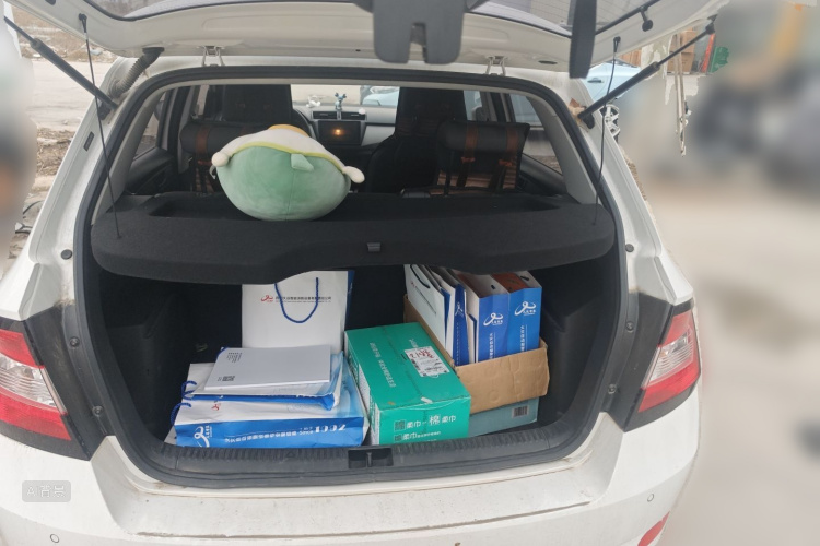 Skoda Fabia 2019 изображение автомобиля #21