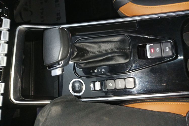 Showjet Pro 2021 car image #21