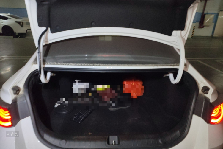 GEELY Emgrand L 2022 car image #21