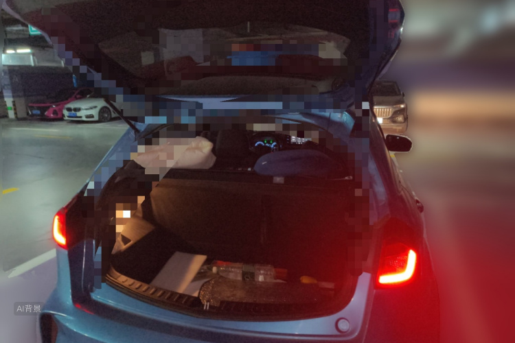 Vision X3 2021 car image #21