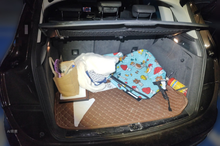 Audi Q5 2016 imagen de coche #21