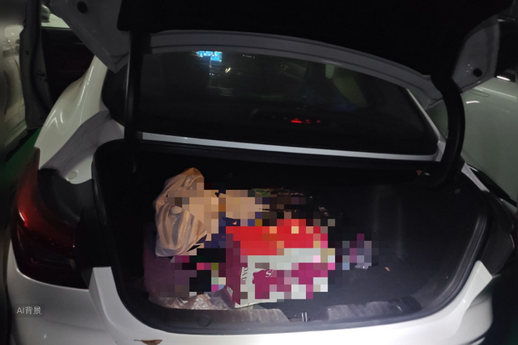 Changan Eado 2019 immagine di auto #21