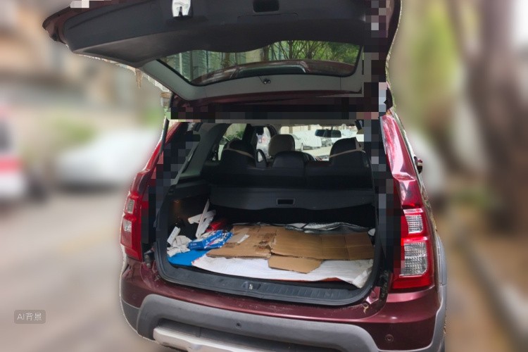 Forthing JOYEAR X5 2016 car image #21