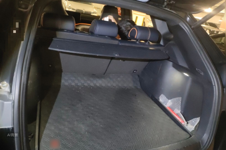 比亚迪 宋PLUS新能源 2022 汽车图片 #21