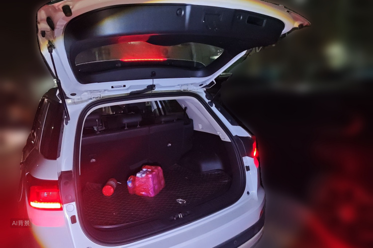 Changan CS55 2019 car image #21