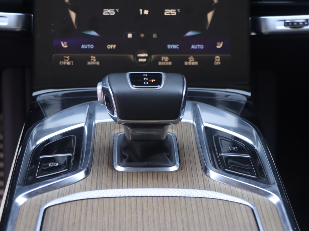 HongQi E-HS9 2023 car image #21