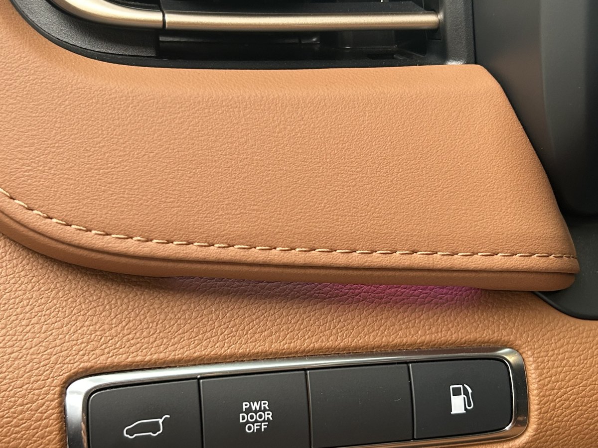 HongQi HQ9 PHEV 2024 car image #21