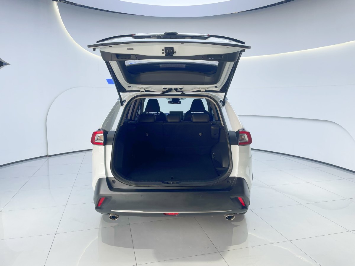 Toyota Wildlander 2023 imagem de carro #21