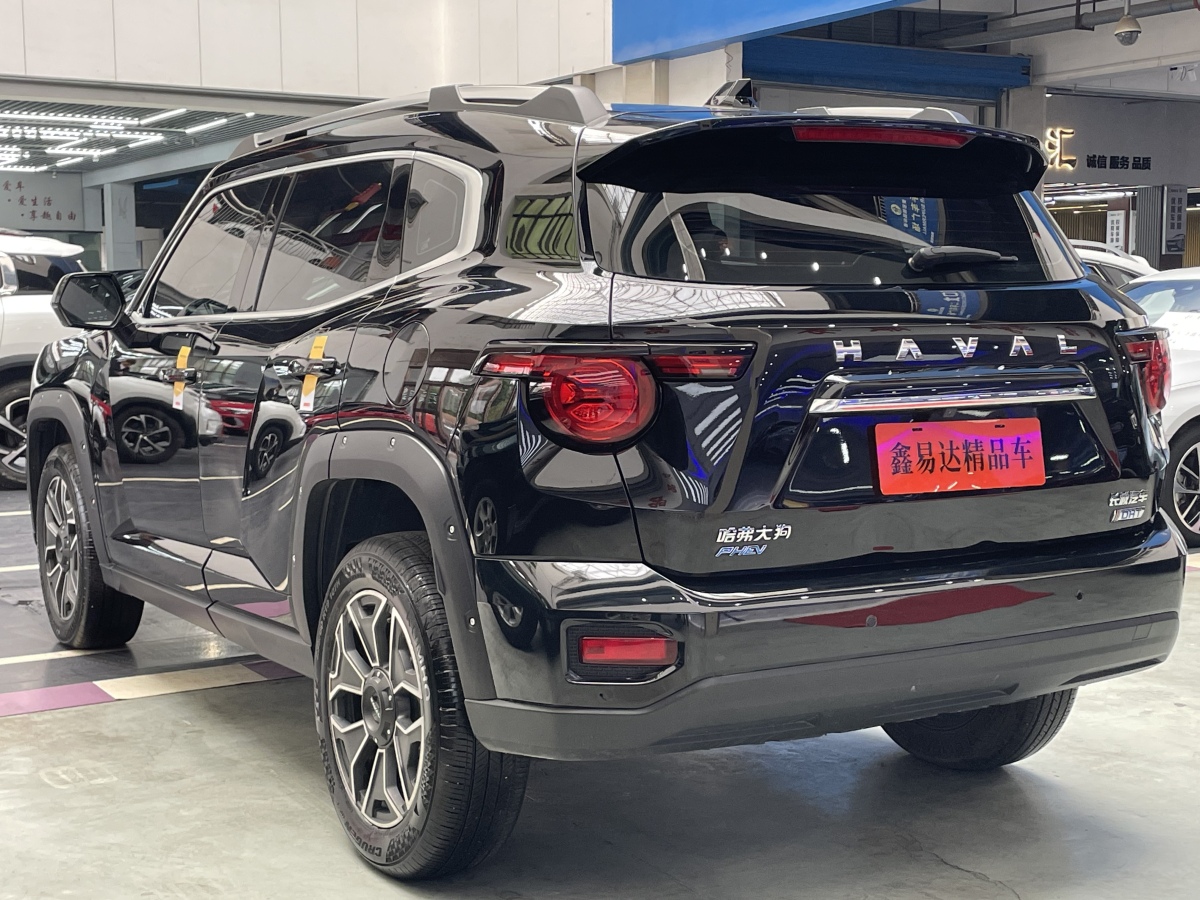 Haval X Dog 2 New Energy 2023 car image #21